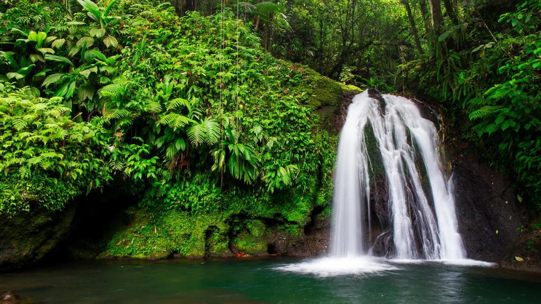 Séjour linguistique Guadeloupe, Chute d'eau