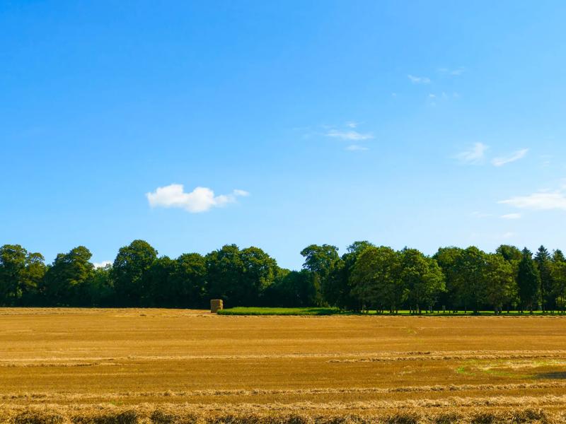 Séjour linguistique Angleterre, Eastbourne, Kingley Vale