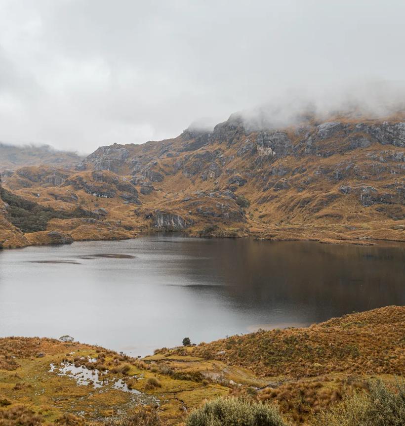 Séjour linguistique Équateur, Cuenca, Parque Nacional el Cajas