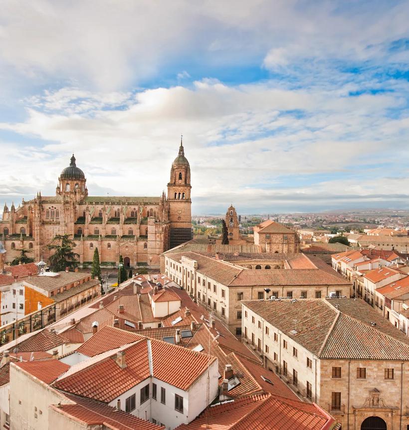 Séjour linguistique Espagne, Salamanca, Cathedrale